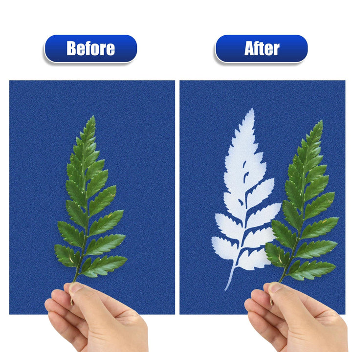 Sun Print Paper Kit, 36 Sheets Cyanotype Papers High Sensitive Nature Sun/Solar Activated Sun Printing Art Paper for Arts Crafts DIY Project