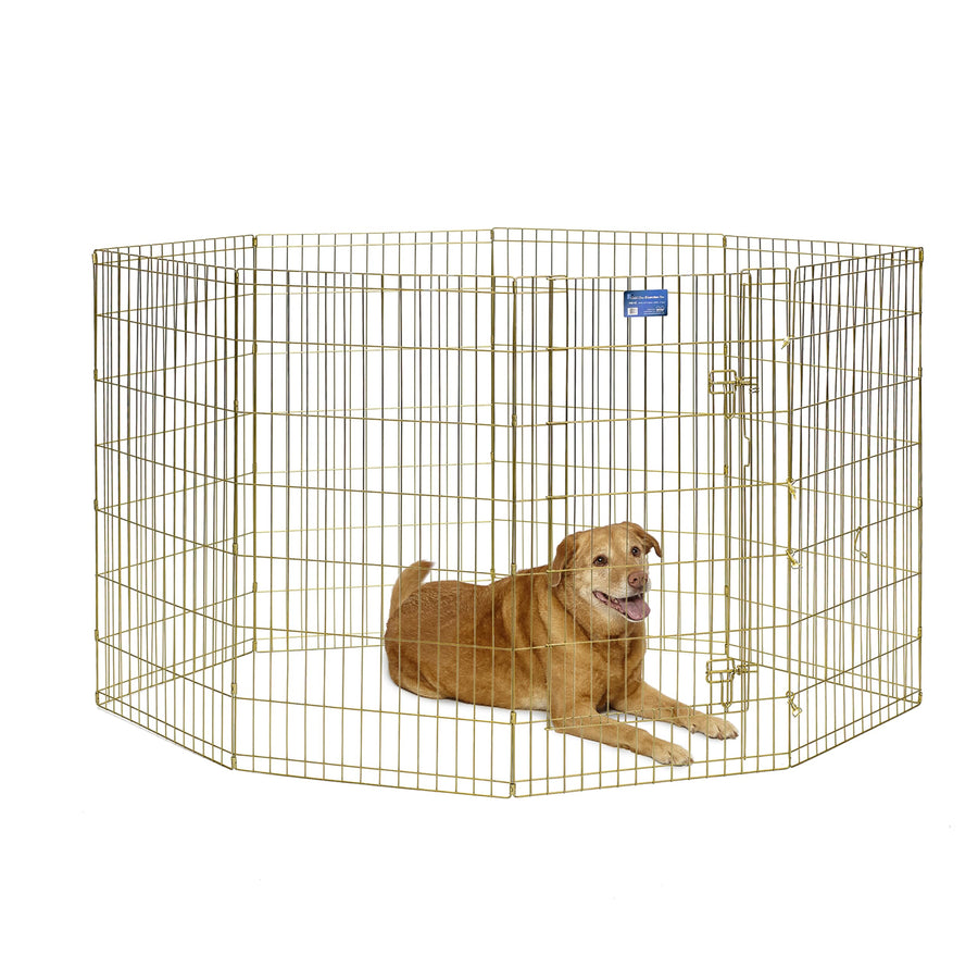 Dog Exercise Pen & Playpen, 24 W x 42 H, No Door, Gold Zinc