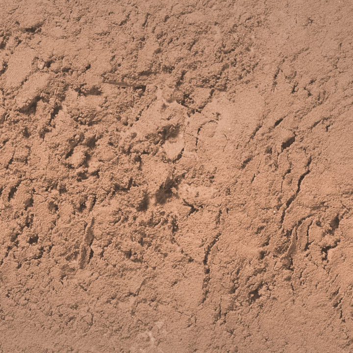 Brow Powder for Eyebrows, Taupe