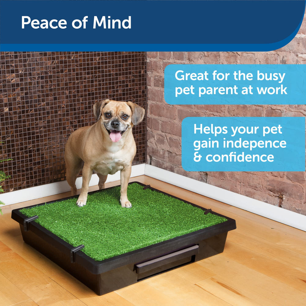 Pet Loo Portable Dog Potty - Pet Toilet Alternative for Puppy Pads - Small - Perfect for House Training - Easy-to-Clean Grass Mat