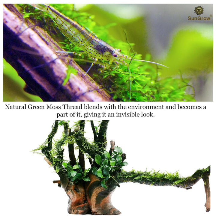Plant Cotton Thread, 20 Meters, Green Color Similar to Willow Plant, Disintegrates Eventually, Securely Attaches Floating Plants