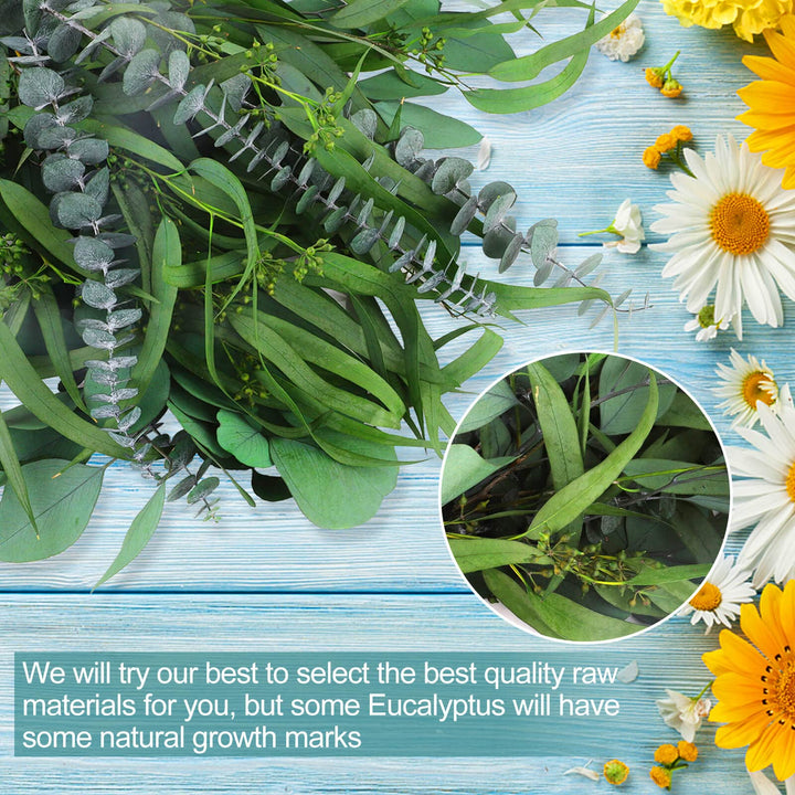 12Pcs Mixed Real Dried Eucalyptus Leaves Stems - Preserved Eucalyptus Branches, Silver Dollar Eucalyptus, Seeded Eucalyptus Bouquets for Vase Floral Arrangements Wedding Greenery Decor