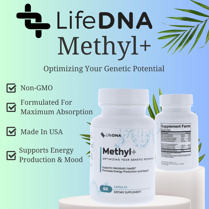 Methyl+ Methylated Multivitamin Complex with Methylfolate &amp; TMG for Optimized Homocysteine, Brain, Cardiovascular &amp; Neurotransmitter Support