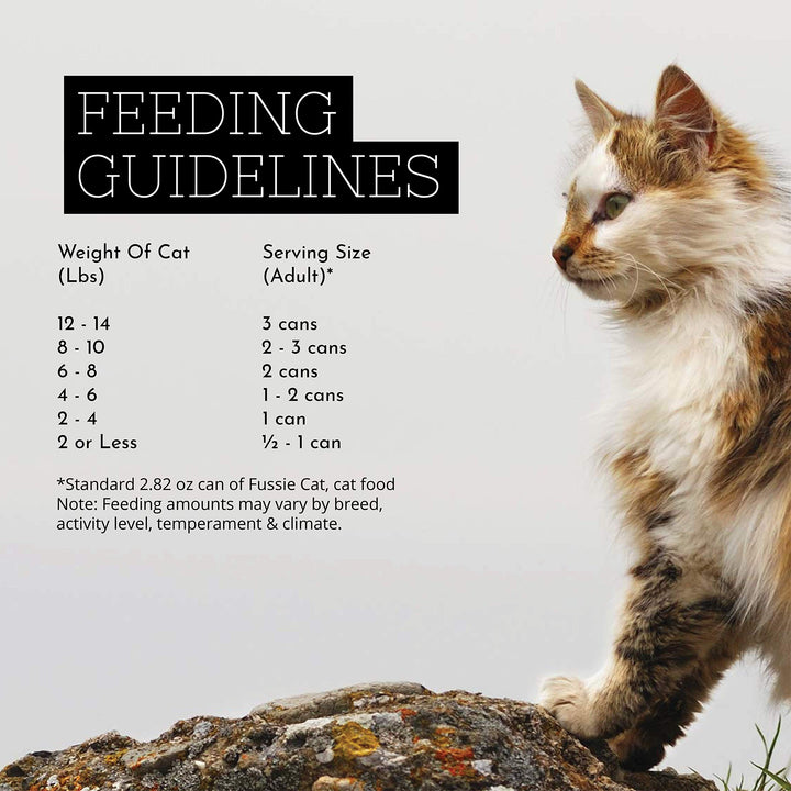 Super Premium Chicken Formula in Gravy Grain-Free Wet Cat Food 2.82oz, case of 24