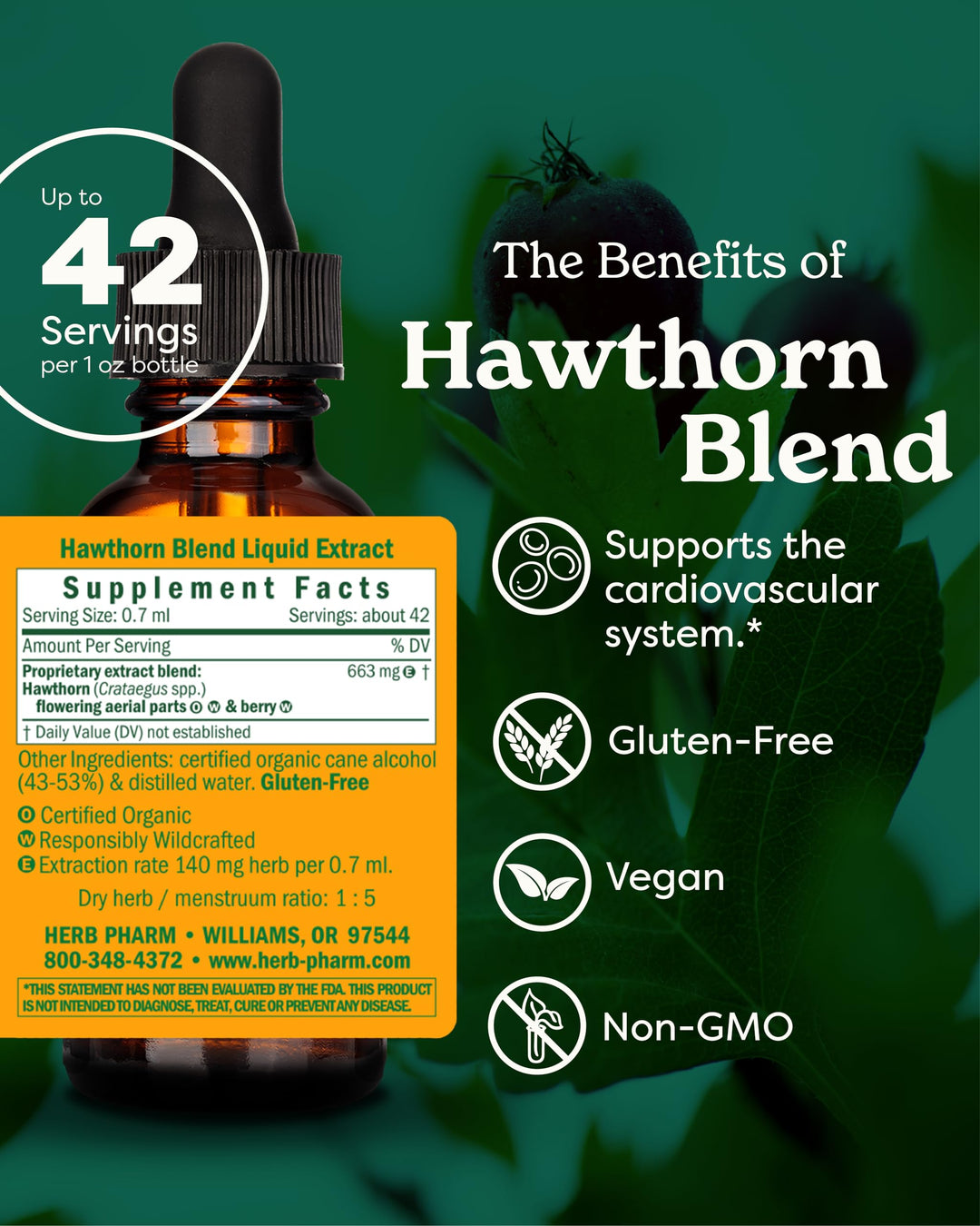 Hawthorn Blend Liquid Extract for Cardiovascular and Circulatory Support, 1 Fl Oz
