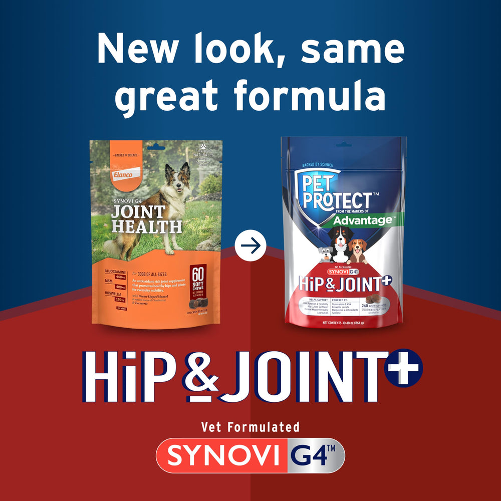 G4 Dog Joint Supplement Chews, 240-Count, for Dogs of All Ages, Sizes and Breeds