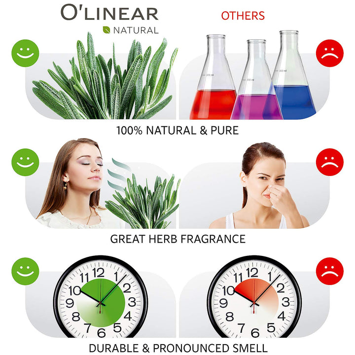 Rosemary essential oil in bottle O'linear 10 ml
