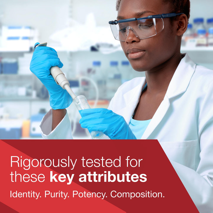 Cogumin SLCP 400mg Curcumin - Neurological Support - with Curcuma Longa Extract - Cognitive Support Supplement - Vegan-Friendly &amp; Non-GMO - 50 Veg Capsules