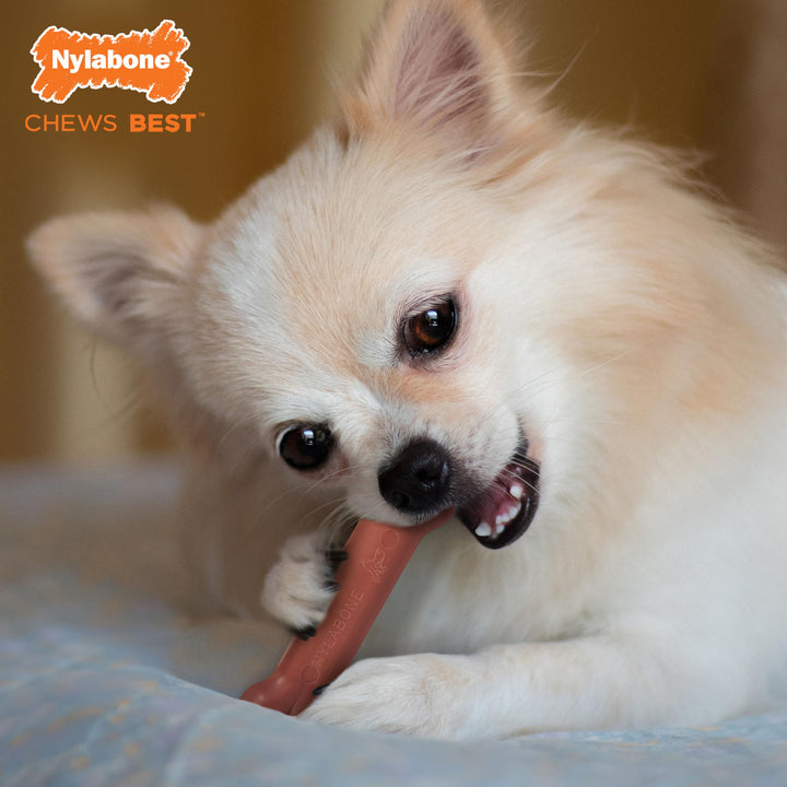 Power Chew Classic Bone Chew Toy for Dogs, Durable Dog Toys for Aggressive Chewers, Bacon Flavor, X-Small/Petite - Up to 15 lbs. (1 Count)