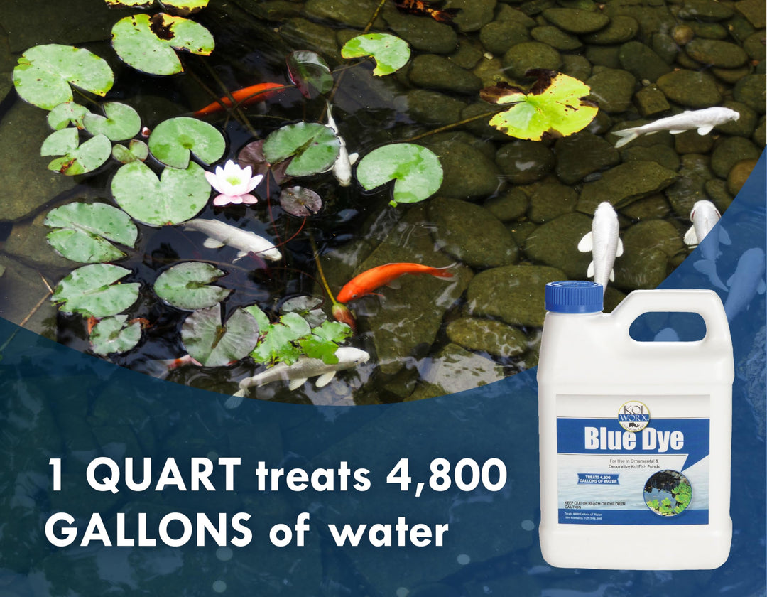 Sanco Industries KoiWorx Blue Dye - Ornamental and Decorative Pond Dye, Water Features and Fountains, Safe for Koi - 1 Quart