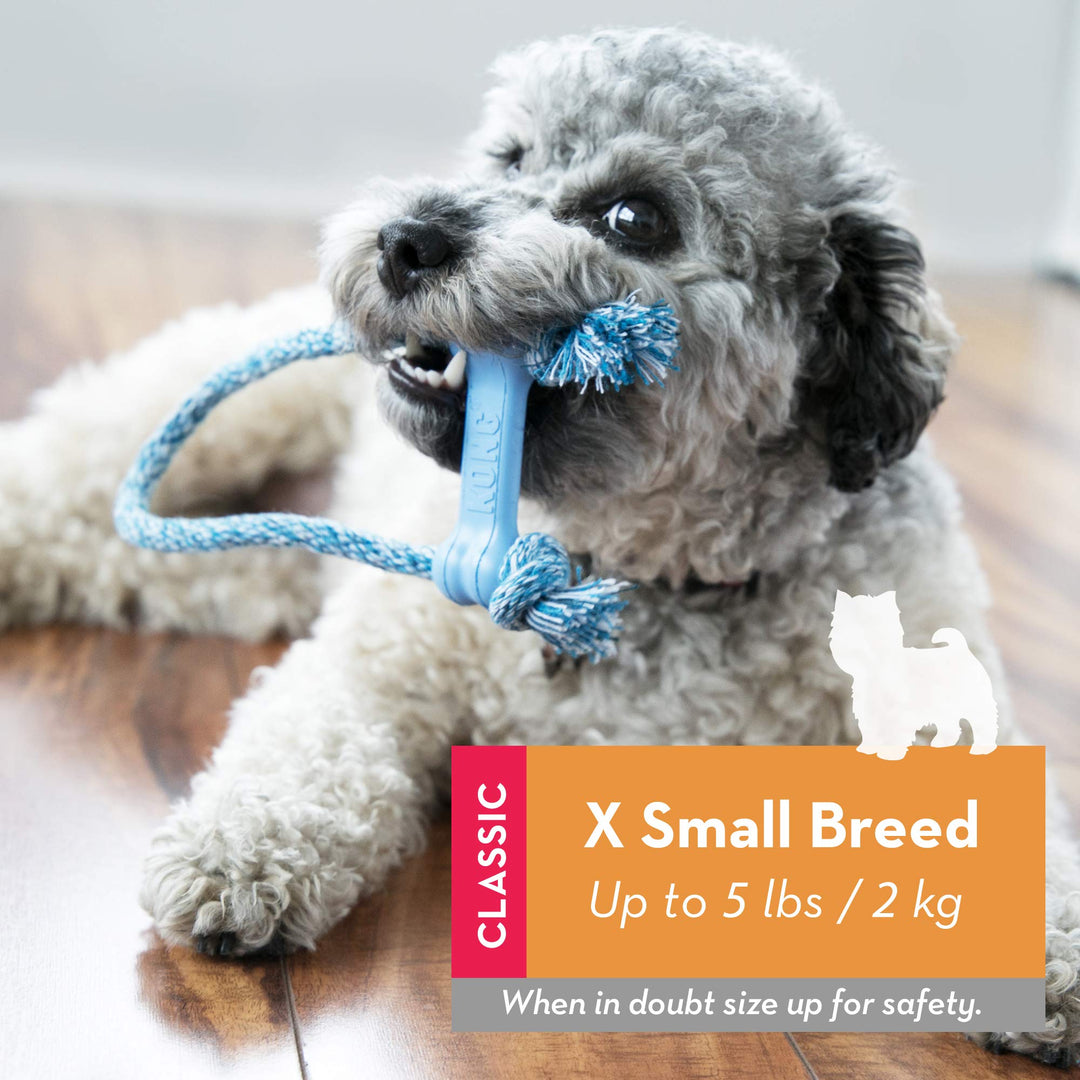 Puppy Goodie Bone with Rope - Natural Rubber Bone with Cotton Rope - Teeth Cleaning Chew Toy for Growing Puppies - for XS Puppies - Blue