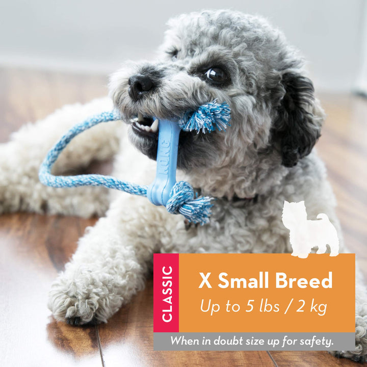 Puppy Goodie Bone with Rope - Natural Rubber Bone with Cotton Rope - Teeth Cleaning Chew Toy for Growing Puppies - for XS Puppies - Blue