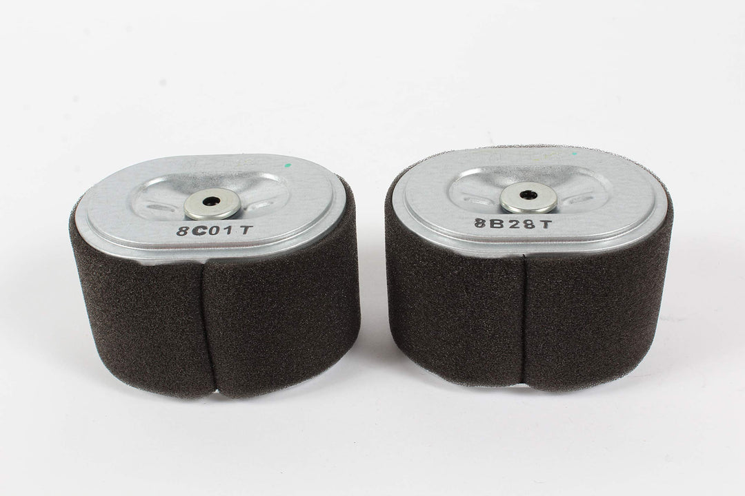 Honda 2 Pack Genuine 17210-Z4M-821 Air Filter Fits GX12