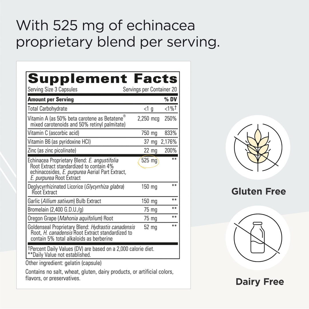 - EHB (Echinacosides, Hydrastine, Berberine) - Immune Supporting Nutrients* - 60 Capsules
