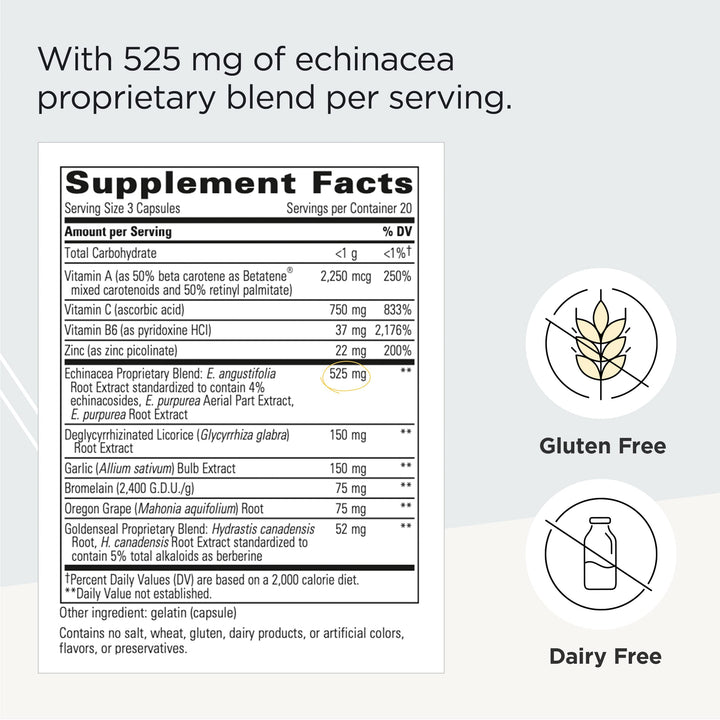 - EHB (Echinacosides, Hydrastine, Berberine) - Immune Supporting Nutrients* - 60 Capsules