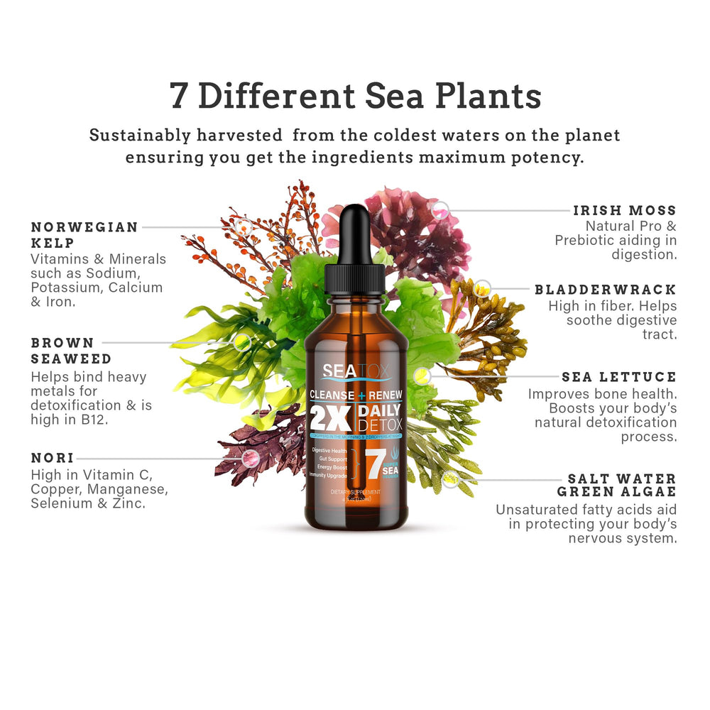 Cleanse & Renew Liquid Superfood 2 in 1 Multivitamin & Mineral Supplement for Gut & Digestive Health, Bloat, Immune Support, Cellular Health – Vegan, GF 30 Day Supply Made in USA