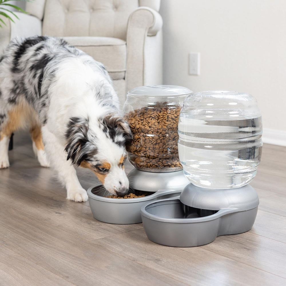 Replendish Automatic Gravity Waterer for Cats and Dogs, BPA-Free, No Batteries Required, Includes Charcoal Filter, 2.5 Gallons, Made in USA,Silver