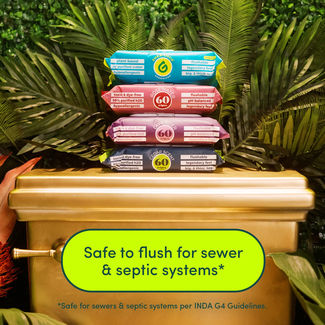 Goodwipes Flushable &amp; Biodegradable Wipes with 