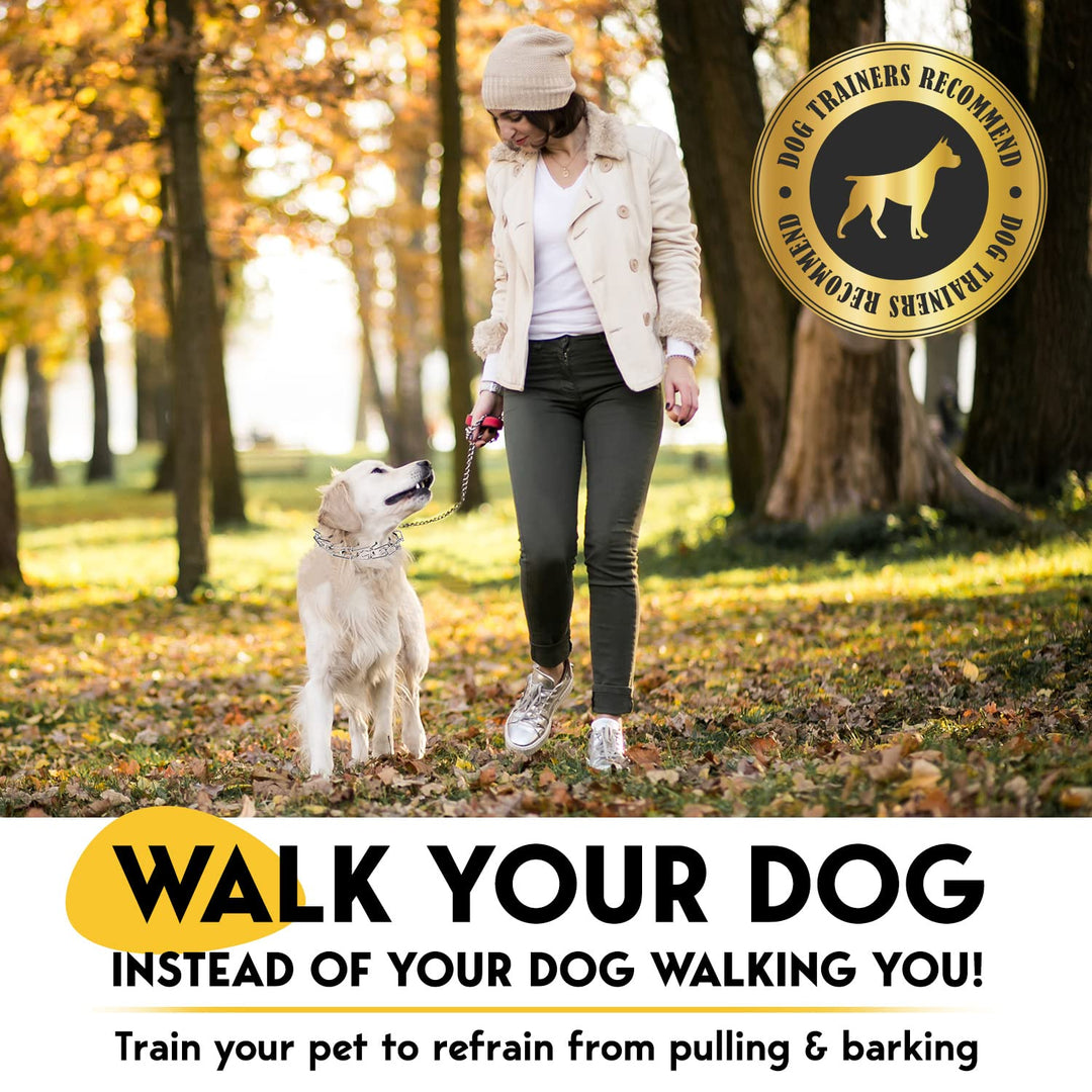 Prong Collar for Dogs - No Pull Choke Collar for Dogs, Pinch Collar for Dogs, Adjustable Quick Release Dog Training Collar for Small, Medium, Large Breed Sizes - Stainless Steel Metal Dog Choker Chain