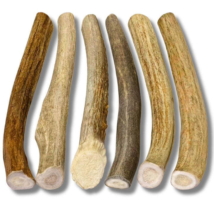 - Antlers for Small Dogs (6 Pack) Deer Antler Dog Chew Bones for Small Aggressive Chewers - Long Lasting Horn Chew Toys - Naturally Shed