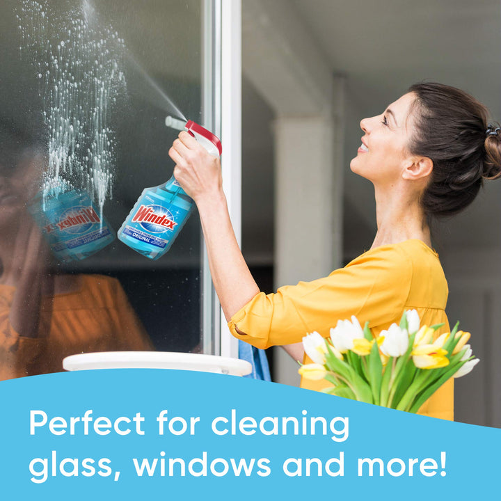 Windex Refill Glass and Window Cleaner Bottle, Bottle M
