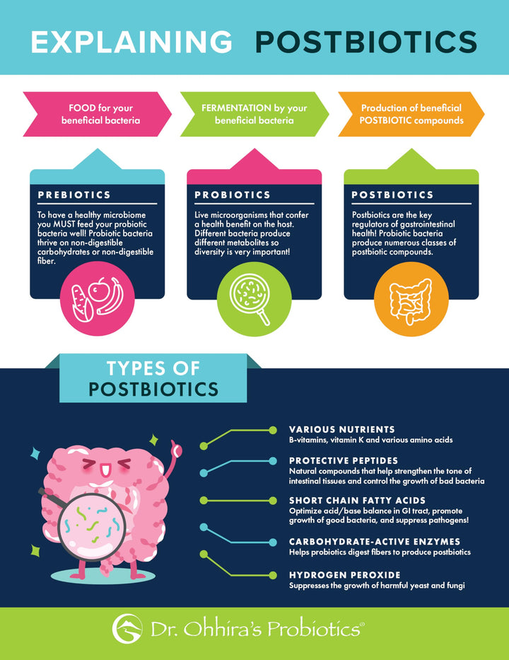Dr. Ohhira’s Probiotics Original Formula with 3 Year Fermented Prebiotics, Live Active Probiotics and The only Product with Postbiotic Metabolites, 60 Capsules