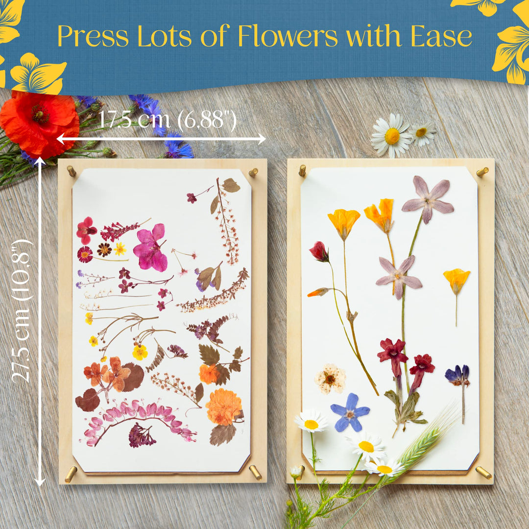 Berstuk Wooden Flower Press for Adults and Teens - Includes Expert Video Tutorials - Large Flower Press Kit 10.8 x 6.9 - Gift-Ready Packaging Ideal for Arts and Crafts Lovers