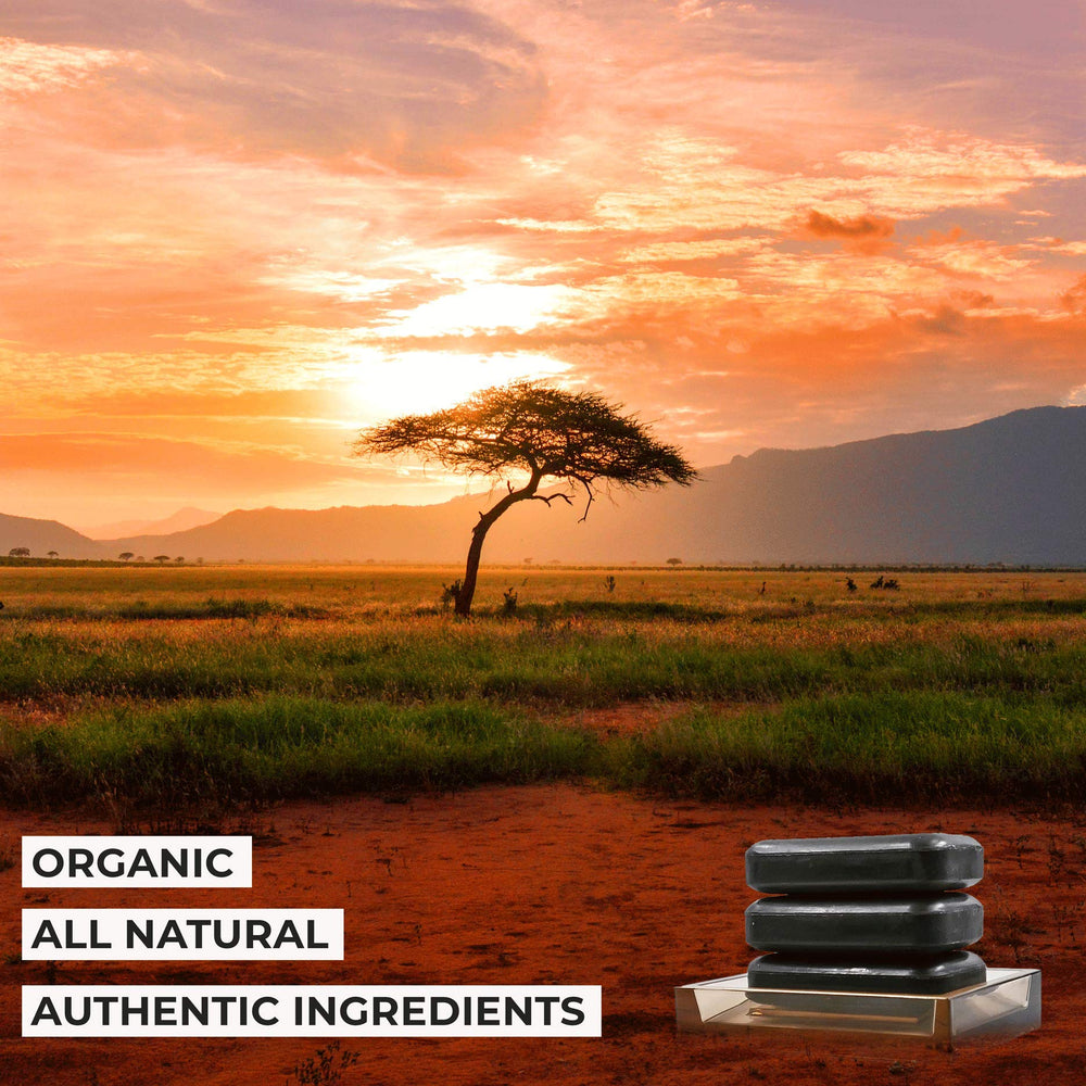 Organic African Black Soap Bar 3PC - Rich in African Shea Butter - Helps Acne Prone Skin - Natural Body Wash & Face Wash - Black African Soap - Natural Black Soap Bar for Women & Men