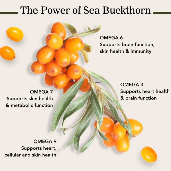 Sea Buckthorn Oil Blend, Omega-7 Complete, 60-Softgels (500mg Each)