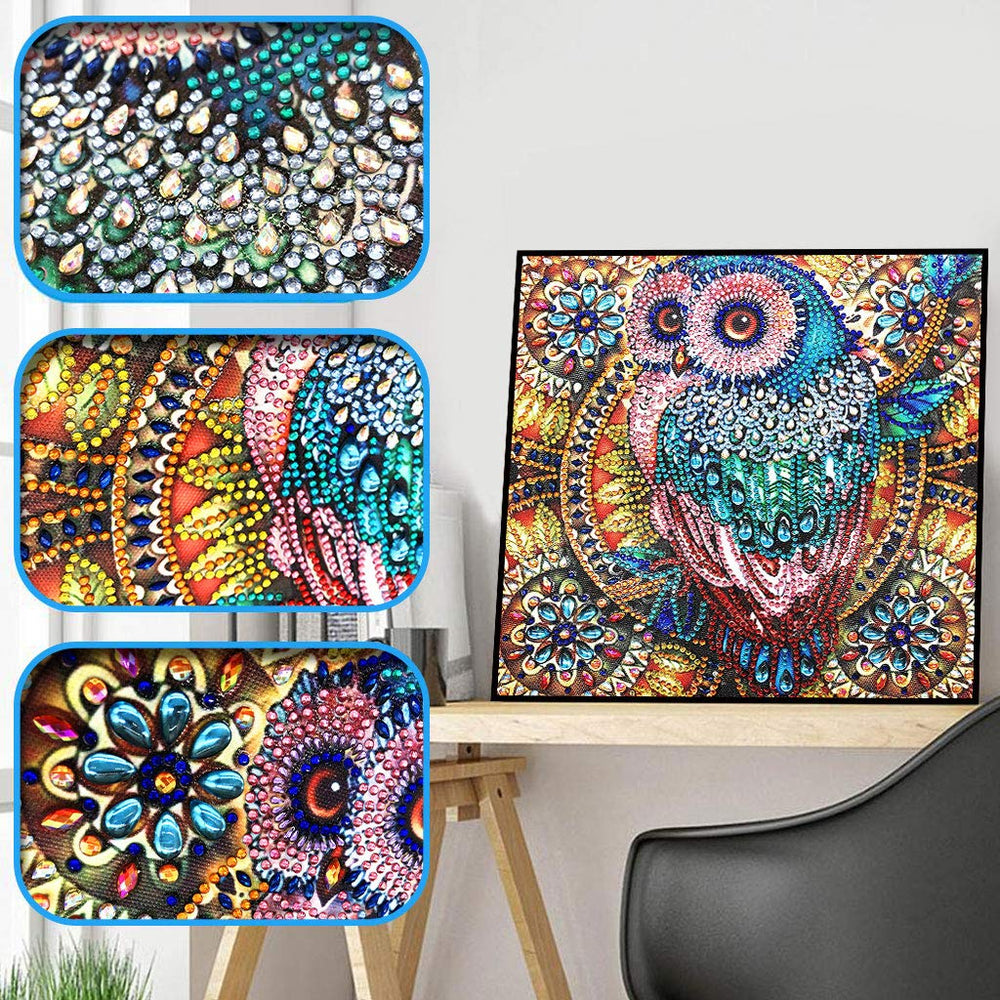 Owl Diamond Art Painting Kits for Adults,DIY 5D Special Shape Rhinestone Crafts, Partial Dots Gem Home Decor 12x12inch