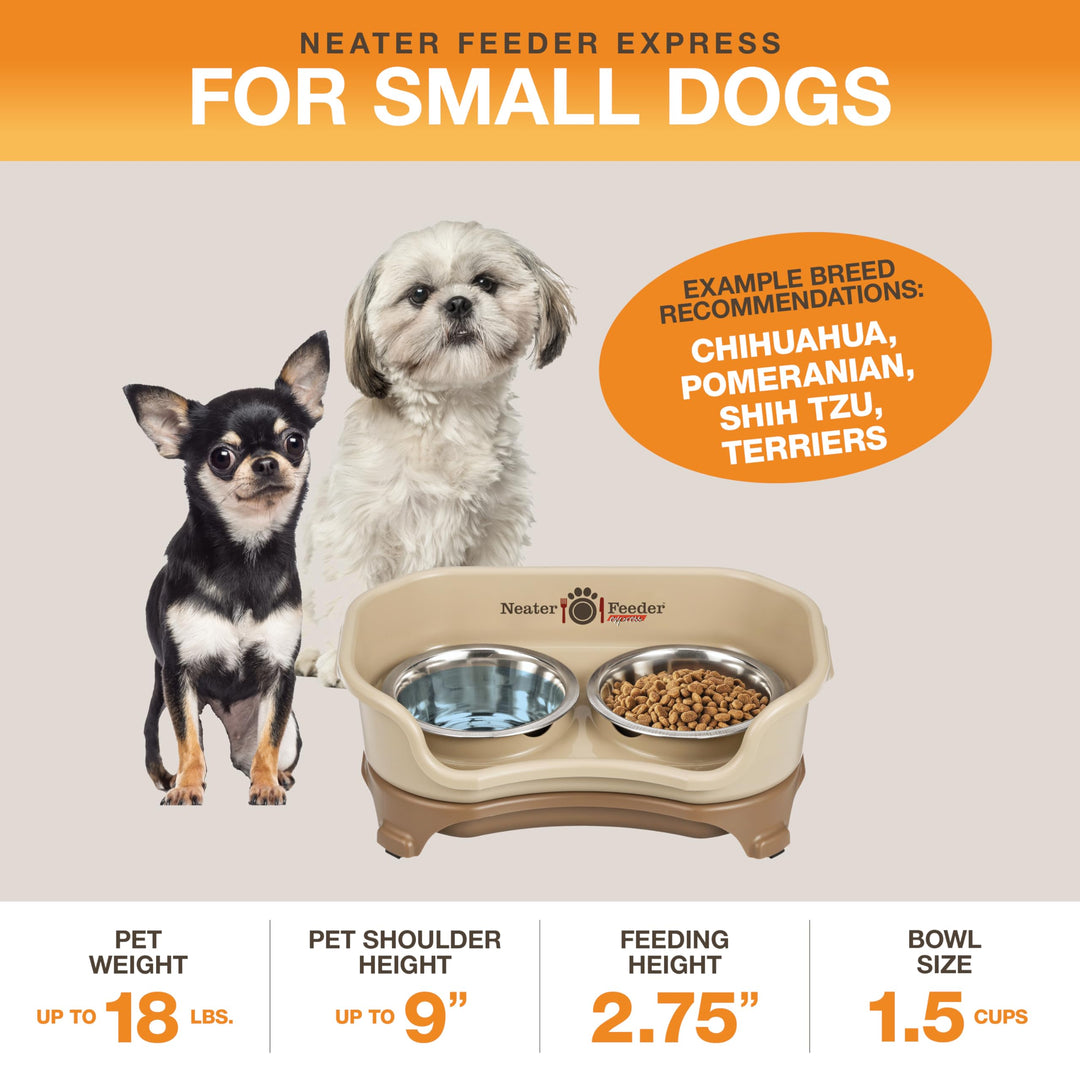 - Express Model - Mess-Proof Dog Bowls (Small, Cappuccino) – Made in USA – Elevated, No Spill, Non-Tip, Non-Slip, Raised Stainless Steel Food &amp; Water Pet Bowls