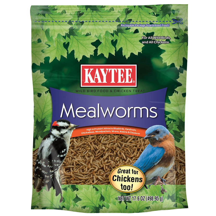 Wild Bird Food Mealworms For Bluebirds, Wrens, Robins, Chickadees, Woodpeckers, Cardinals & Chickens, 17.6 Ounce