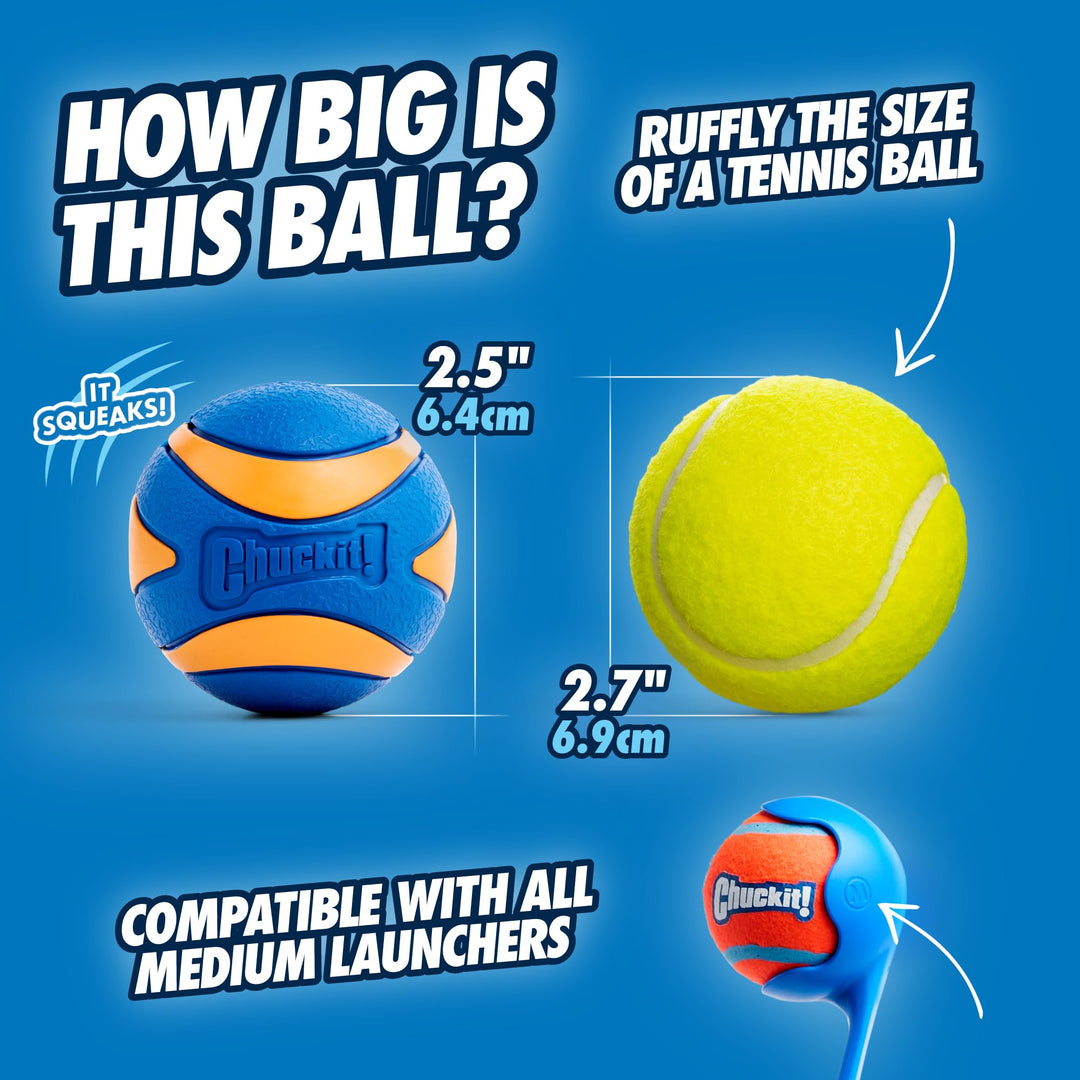 Ultra Squeaker Balls for Dogs, Floating Water Pet Toys, Durable Rubber Pet Toy, Bouncy Squeaky Fetch Balls For Dogs, Pack of 2, Medium (2.5)