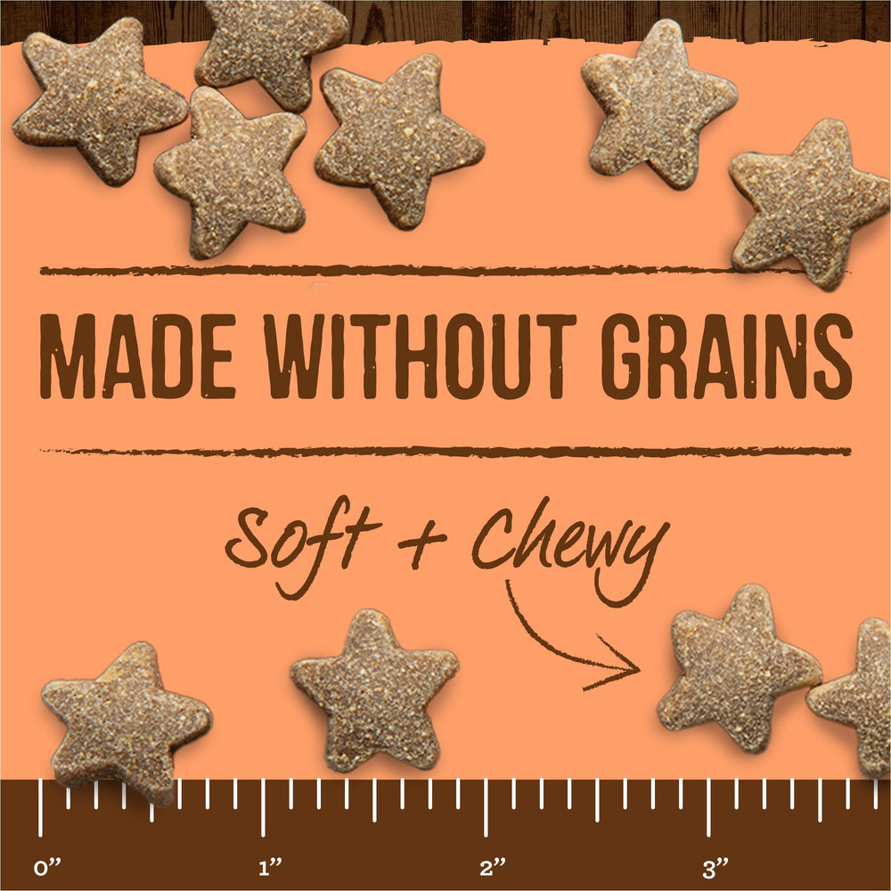 Power Bites Natural Soft And Chewy Real Meat Dog Treats, Grain Free Snack With Real Salmon Recipe - 6 oz. Bag