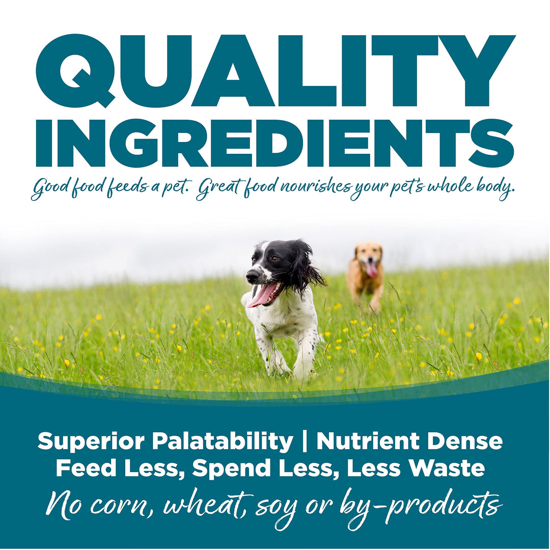 Adult Dog Food, Made with Chicken and Rice, with Wholesome Grains, 15LB, Dry Dog Food