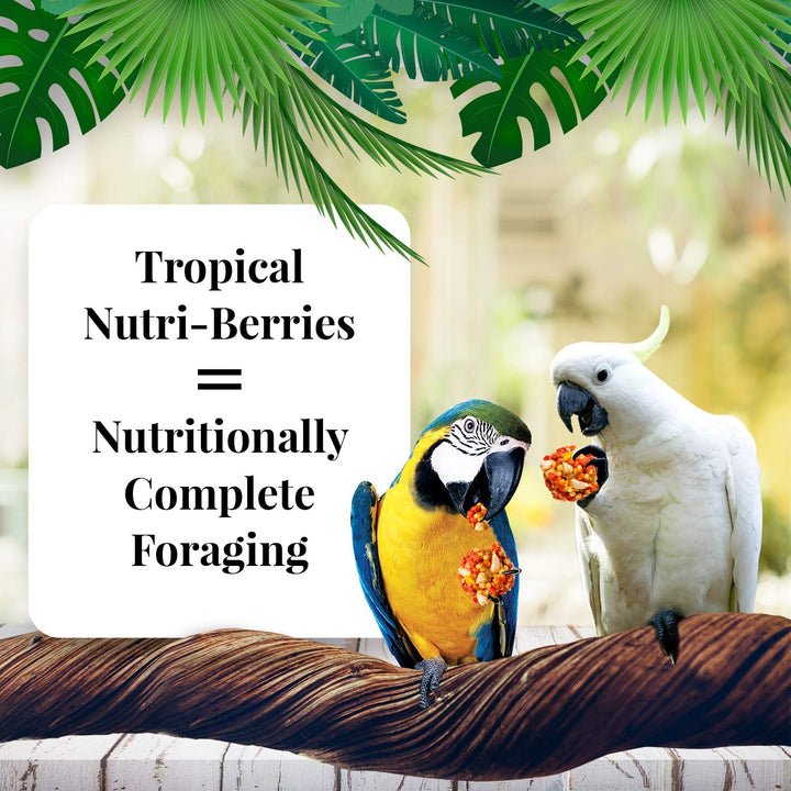 LAFEBER&#39;S Tropical Fruit Nutri-Berries Pet Bird Food, Made with Non-GMO and Human-Grade Ingredients, for Macaws and Cockatoos, 3 lb