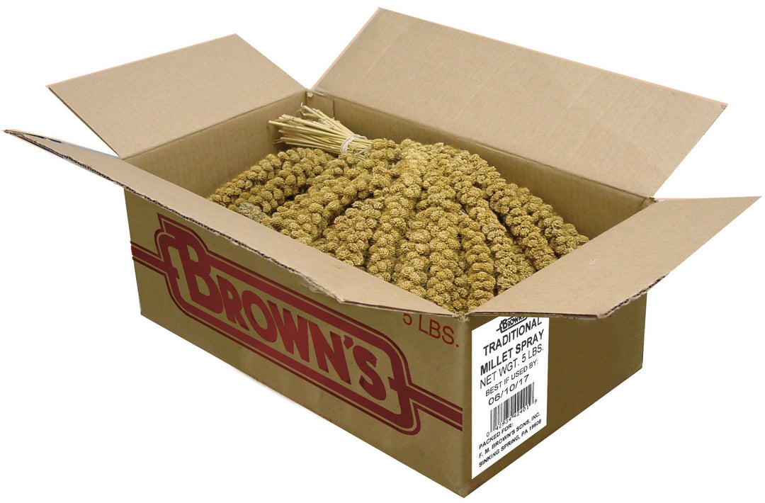 F.M. Brown's Golden Millet Spray, All-Natural Foraging Treat for Pet and Wild Birds, 5-lb Bag - Sun-Cured, Grown and Harvested in the USA