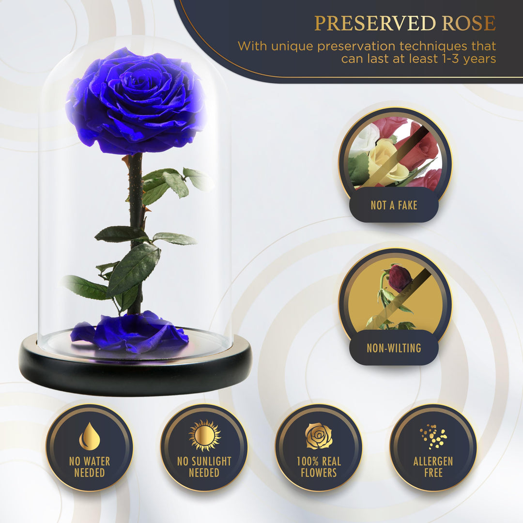 LOVAPPY Forever Preserved Rose - Eternal Rose in Glass 
