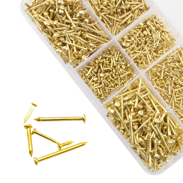 Rrina 1200Pcs Small Tiny Nails Carbon Steel Brass Plate