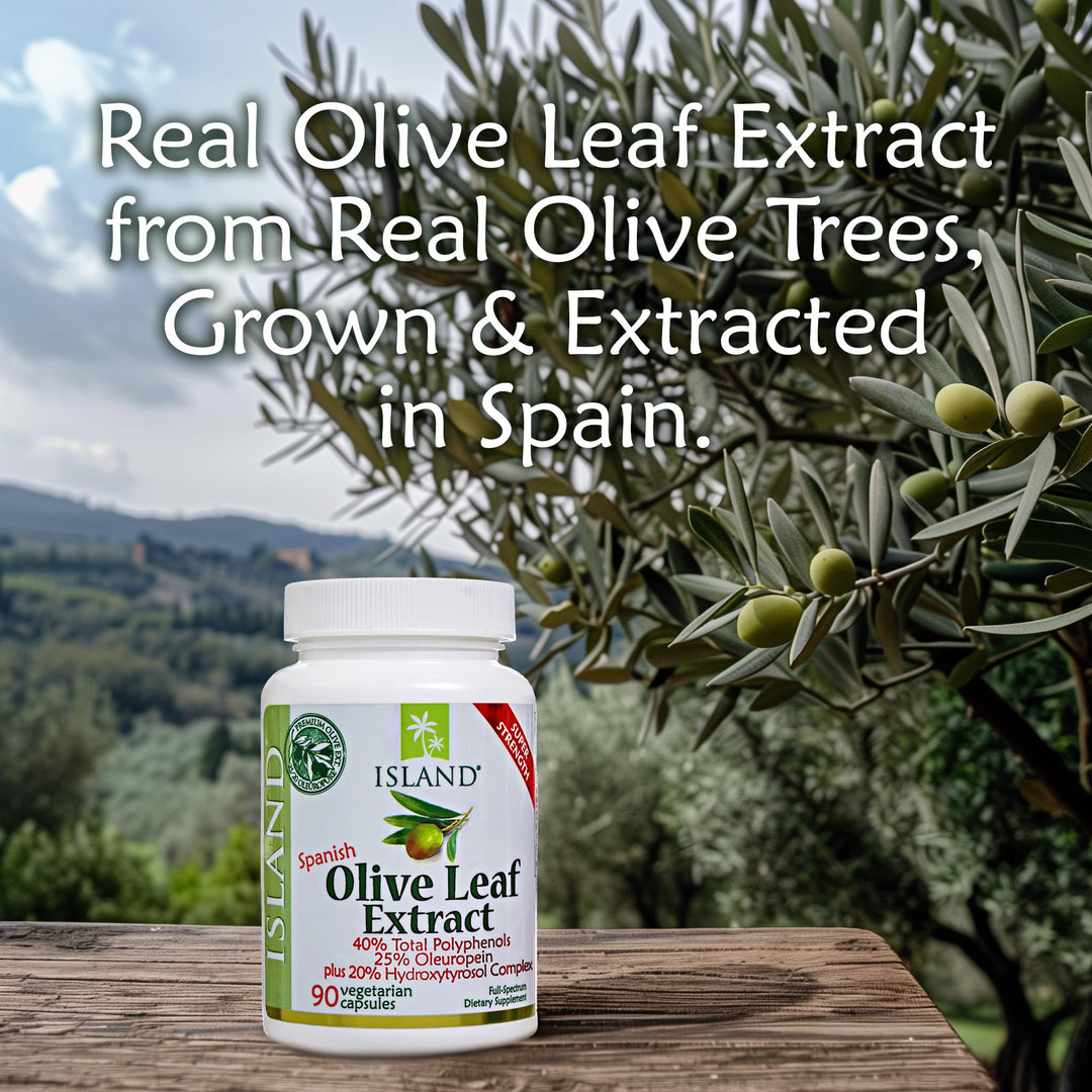 , Olive Leaf Extract Capsules – 25% Oleuropein (40% Total Polyphenols), Plus 20% Hydroxytyrosol Complex – 100% Grown &amp; Extracted in Spain (90 Capsules)
