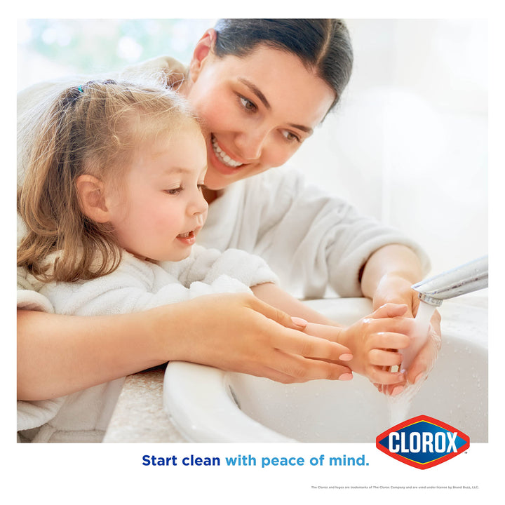 Clorox Antibacterial Liquid Hand Soap Pump | 16 oz Citr