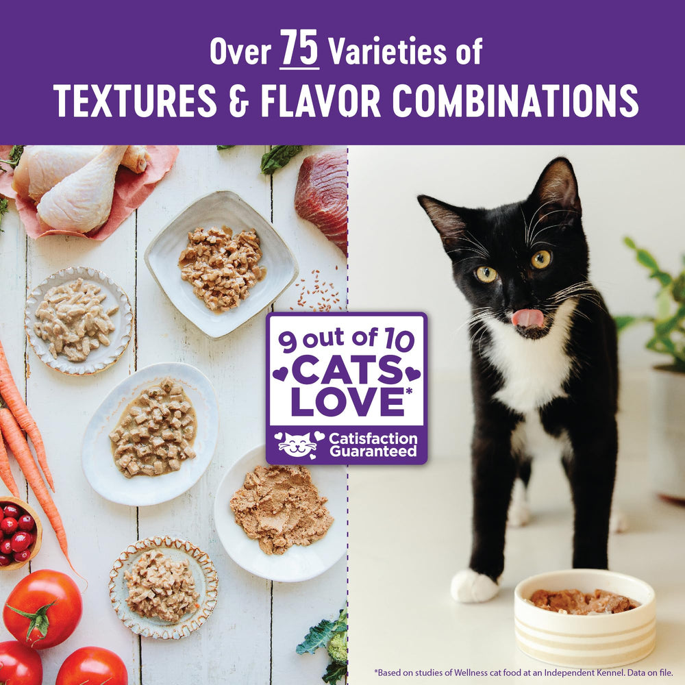 Healthy Indulgence Morsels No Grain Wet Cat Food, Made with Natural Ingredients,Proteins, Complete and Balanced Meal, 3 Oz Pouches (Chicken & Liver, 24 Pack)