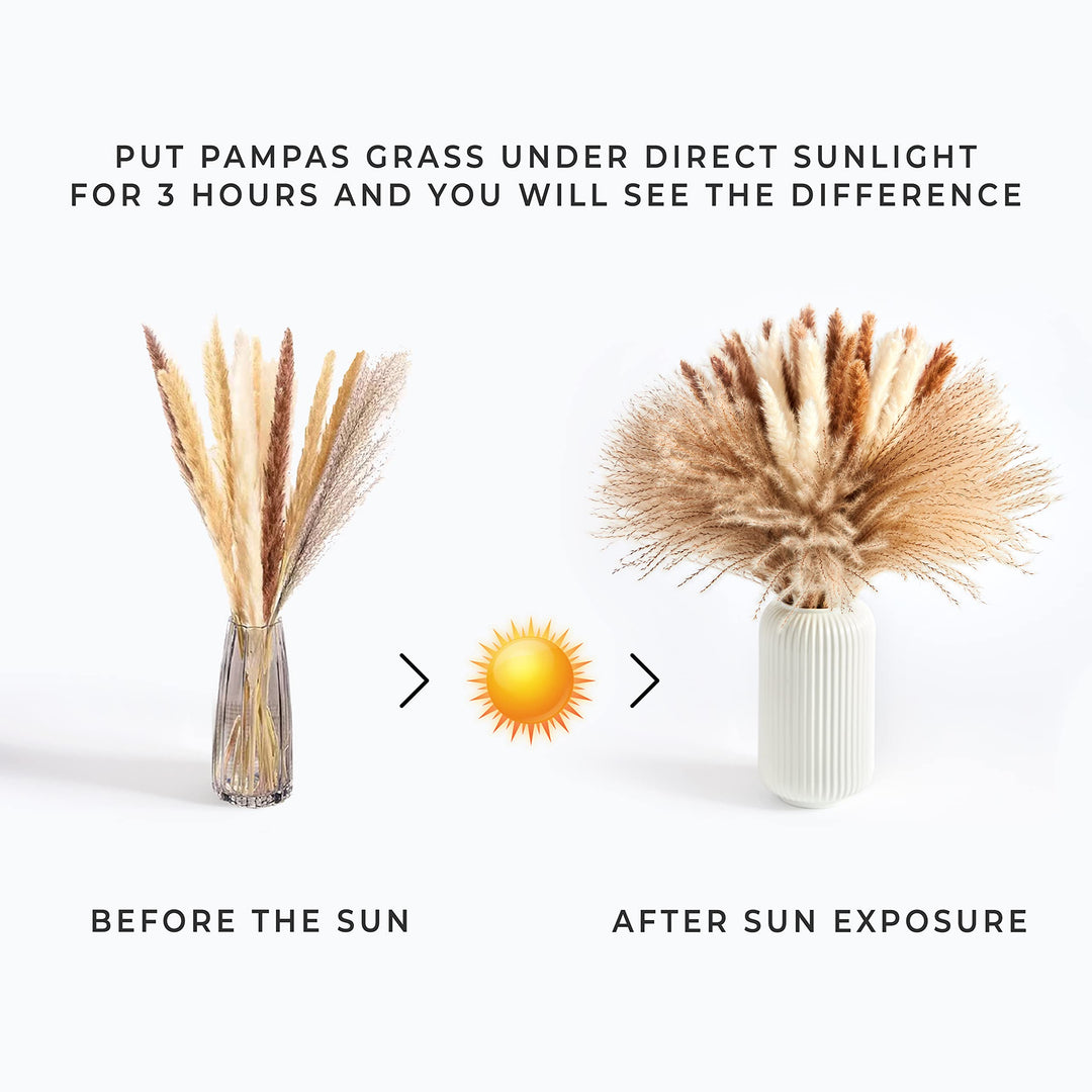 Dried Pampas Grass - 60 Pcs 17.5 inch Premium, White Pampas 15 Pcs, Brown Pampas 15 Pcs, Reed Grass 30 Pcs, Bouquet of Natural Fluffy Pampas Stems for Wedding Decoration &amp; Home Boho Decor