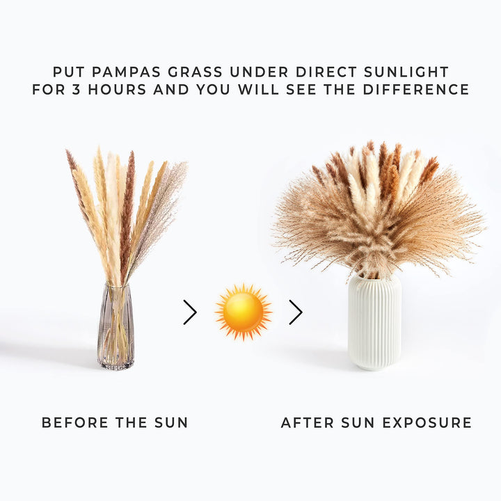 Dried Pampas Grass - 60 Pcs 17.5 inch Premium, White Pampas 15 Pcs, Brown Pampas 15 Pcs, Reed Grass 30 Pcs, Bouquet of Natural Fluffy Pampas Stems for Wedding Decoration &amp; Home Boho Decor