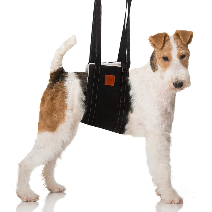 Pet Friendz Dog Lift Harness for Rear Legs - Dog Sling for Rear Legs, Rehabilitation Sling Harness, Dog Lift, Dog Support Harness to Help Lift Dogs Rear for Canine Aid - Large Breed