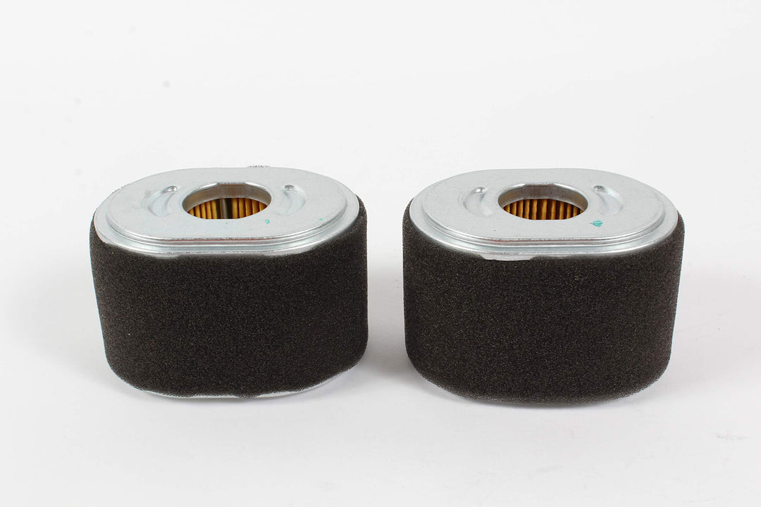 Honda 2 Pack Genuine 17210-Z4M-821 Air Filter Fits GX12