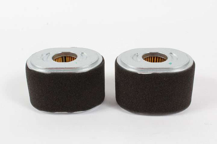 Honda 2 Pack Genuine 17210-Z4M-821 Air Filter Fits GX12