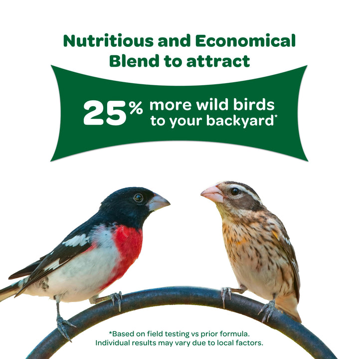 Kaytee Wild Bird Basic Seed, 10 lb