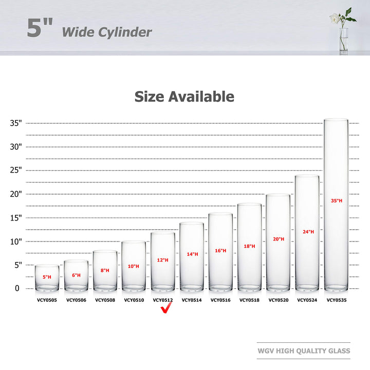 WGV Quality Thick Cylinder Vase, Diameter 5, Height 12,