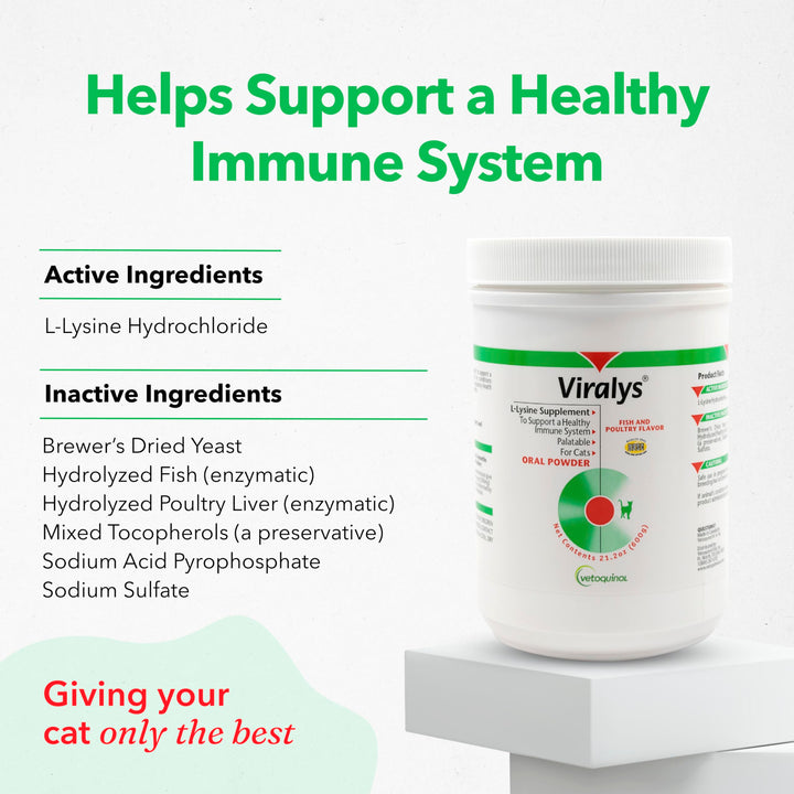 Viralys Daily L-Lysine Powder for Cats and Kittens, Fish Flavored Lysine Supplement for Cats and Kittens to Support Immune Health, Normal Eye Function and Respiratory Health, 600gm